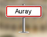 Diagnostiqueur Auray