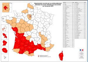 Carte infestation termites MORBIHAN